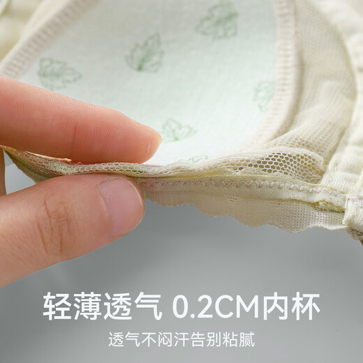 Les gros seins de chat montrent de petits seins pour les femmes, des sous-vêtements pour les femmes, un style mince d'été, un rassemblement, des seins latéraux, une affaissement, un beau soutien-gorge d'oreille de lapin, ultra mince