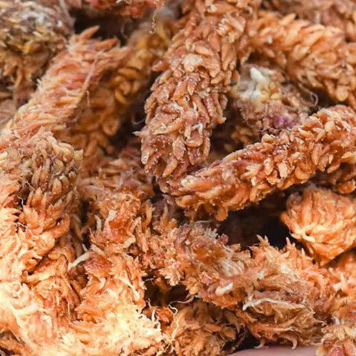 Devo caterpillar sphagnum moss for Phalaenopsis planting special potted gardening soil moss turtle reptile high-quality mat material