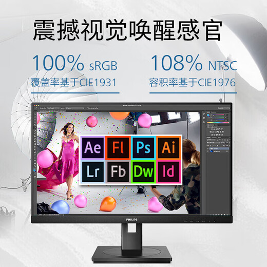 飞利浦（PHILIPS）23.8英寸2K 100hz家用办公显示屏IPS屏HDR低蓝光护眼旋转升降设计电脑显示器 245S9RB 245S9RB(2K 100hz 升降旋转)