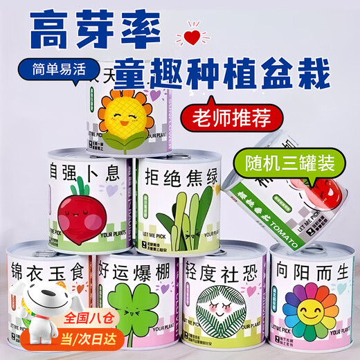 蚁恩罐头植物盲盒幼儿园室内种植小盆栽蔬菜花卉种子绿植61儿童节礼物 【寓意种植小盆栽盲盒、3罐装】 【老师推荐/简单易活/四季可种】