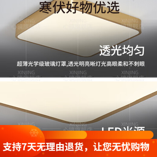 全铜户外吸顶灯别墅入户门灯走廊过道阳台灯露台防蚊虫庭 X3893-600*800/长方形