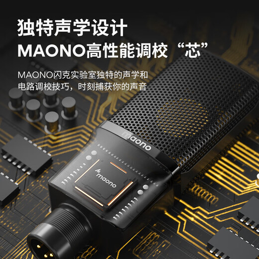 Flash PM500S condenser microphone live broadcast sound card professional large diaphragm microphone radio equipment dubbing karaoke XLR wired microphone Bobo Mai recording microphone Flash PM500S PM500S (cantilever model)