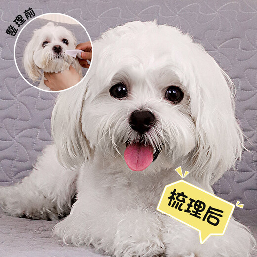 QiOh dog comb, cat comb, special cat grooming comb, Teddy Bichon face comb, cleaning tool, flea comb, complete supplies, upgraded large size + massage comb, fluffy hair