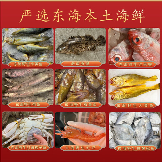 [Livraison fraîche] Zouxhan Xiangshan Pack de cadeaux de fruits de mer
