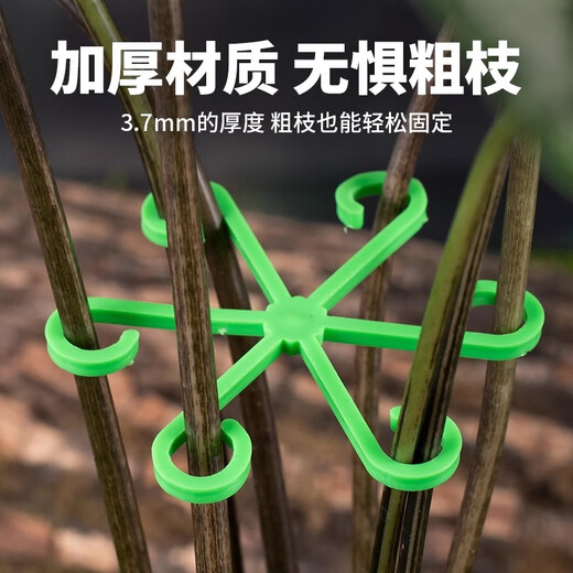 Shanghai Gardener Monsterback Fixer Spring Rain Support Flower Flower Branch Support Support anti-perdant Branches de fleurs Collection Fixer Fixer Set [4 Au total, 4 tailles]