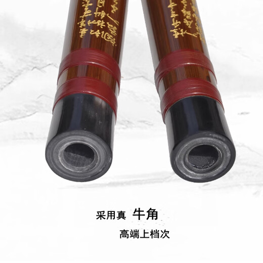 管子先生笛子管子先生专业演奏级精制双插两节苦竹笛横笛乐器初学考级儿童 E调
