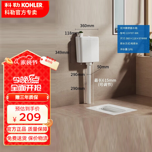 科勒（KOHLER）蹲便器大便器陶瓷蹲坑无踏板卫生间蹲坑防溅水蹲厕K-20443T-0 明装水箱11978