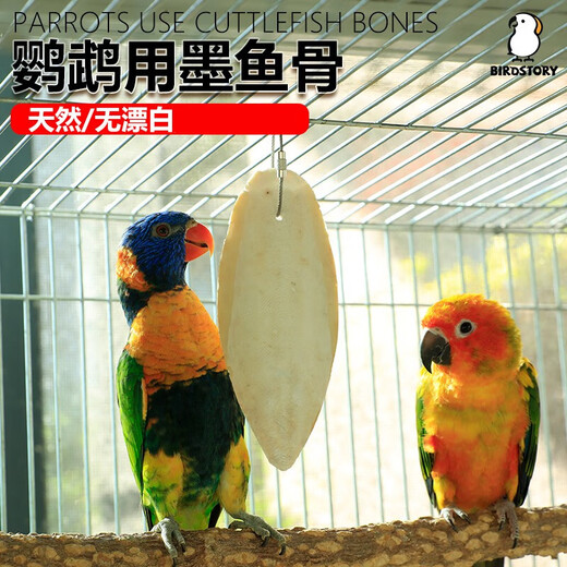 Hueso de sepia especial para loros, periquitos peonías, palitos de dentición para masticar, juguetes interactivos, snacks y suministros, pieza única de hueso de sepia de 1517 CM + clip