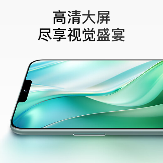 Shuowang 2025 nuevo teléfono inteligente MX670 256 g de pantalla grande de pantalla grande de pantalla 5G Netwer completa de ocho núcleos 100 yuanes de alta definición juego E-Sports Juego de batería larga Vieja Vieja Backup Green [original sin abrir] 8 núcleos + 64GB