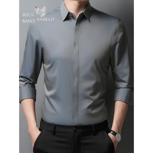 Announcement Bird Anniversary Men's Discount No-iron Men's Long-sleeved Shirt Young and Middle-aged Business Casual High-End Solid Color Shirt Gray Green Long Sleeve S 165 Suitable for 90-120 Jin Jin equals 0.5 kg