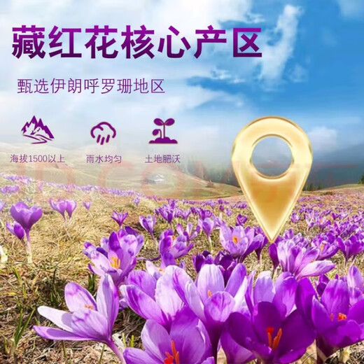 中欣燕伊朗藏红花特级精选品质送礼送父母长辈领导滋补茶饮女神节礼盒 精选特级伊朗长丝藏红花10克礼盒装