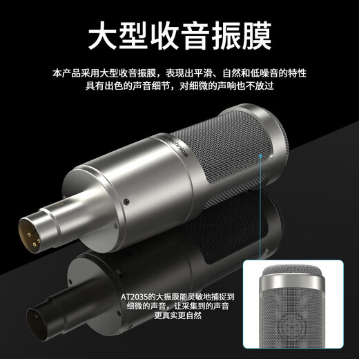 Audio-Technica AT2035 condenser microphone recording studio equipment set professional recording audio novel recording anchor live broadcast complete set of computer karaoke external sound card mobile phone microphone AT2035 Silver + Midi R2 GEN II sound card package