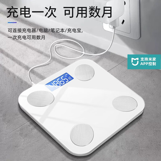 小米智能米家APP辉鼎体脂秤体重秤家用电子秤小型充电体脂秤居家小巧称重计人体电池称体重 皓月白充电款