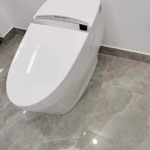 TOTOI Smart Toilet CES9911CS Fully Automatic All-in-One Smart Toilet Automatic Flip Cover Instantly Heats Without Water Pressure Limitation CES9911CS Manual Flip Cover Delivered to Home 400mm