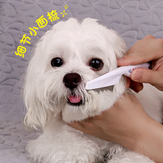 QiOh dog comb, cat comb, special cat grooming comb, Teddy Bichon face comb, cleaning tool, flea comb, complete supplies, upgraded large size + massage comb, fluffy hair