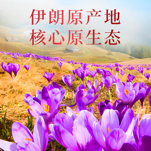 滋品物语特级藏红花伊朗进口全红长丝西红花番红花送长辈节日礼盒补品 特优级藏红花16克【礼袋+礼盒装】 泡水煲汤补品