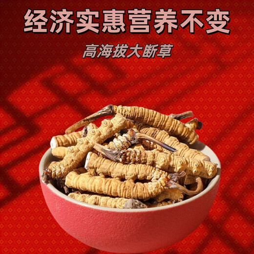 Xina Tibet Que High-altitude Cordyceps Cordyceps Broken Grass Large bottles High-altitude Self-use authentic home outfits Tibet Naqu Broken Grass 10 grams pack 1 gram hair 11 grams