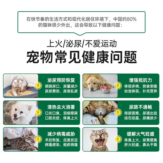 War Donkey Love Fruit Cute Beast Cat Canned Dog Nutrition Pregnancy and Postpartum Rehabilitation and Neutering to Enhance Immunity Prescription Canned Black Chicken Cordyceps Flower Immunity Can 85g*3 cans