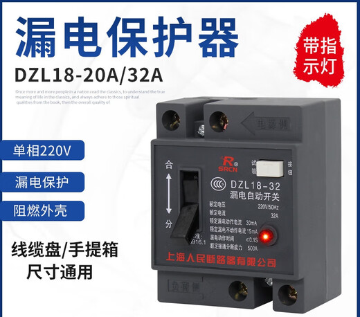 Shanghai People's DZL18-/20A leakage protector cable tray suitcase two-phase leakage switch construction site 2P 32A