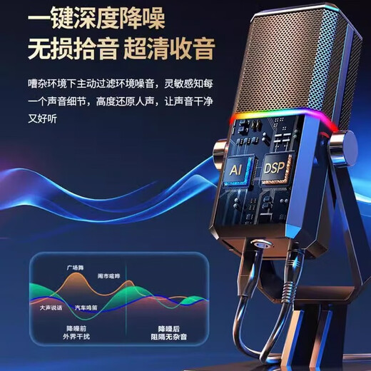 Fashion tribal USB desktop microphone game multimedia cantilever stand computer microphone karaoke microphone noise reduction live sound card voice recording conference microphone wired condenser microphone HK2 black RGB-desktop vertical model