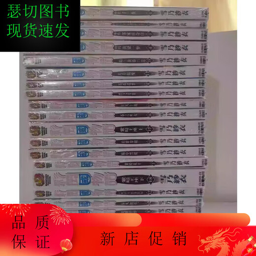 全套22本轻小说   彩云国物语小说1-18册+外传1+4册  全套共22本完结 中文简体 全新现货 彩云国物语外传1-4册(4本)
