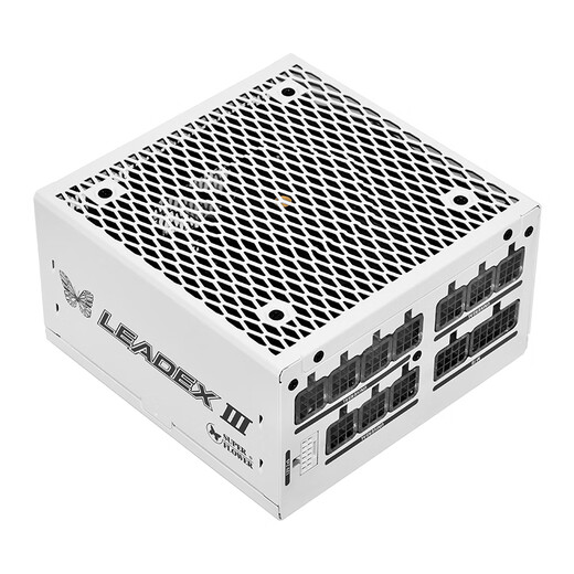 Super Flower Zhenhua ATX3.1 Alimentation Classée 750W LeadEx Proa750W Alimentation de l'ordinateur Interface Blind Plug Interface Gold Mode Full Mode / Prise en charge de la carte graphique 5070