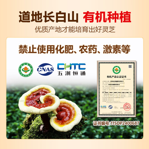 
Jinglemei Breaking Wall Ganoderma lucidum spore powder Changbaishan Linzhi robe powder is rich in spore oil to strengthen the foundation and nourish the essence [Pharmacopoeia standard] 250g/try fresh packaging