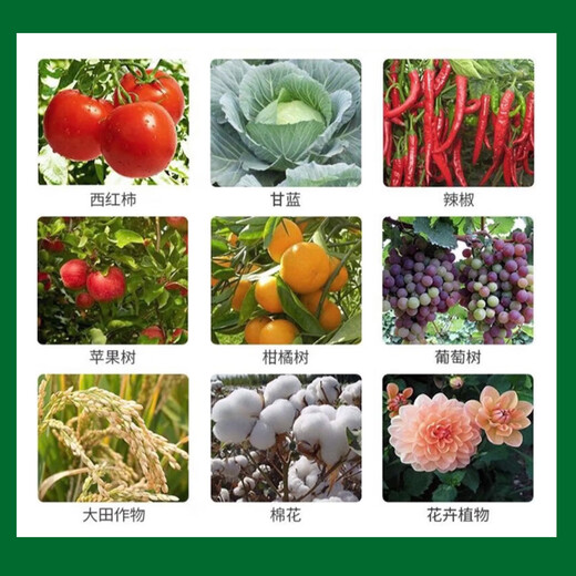 Gramine 30% benzopyrazole citrus grape fruit trees vegetables flowers brown leaf spots rust powdery mildew pesticide fungicide