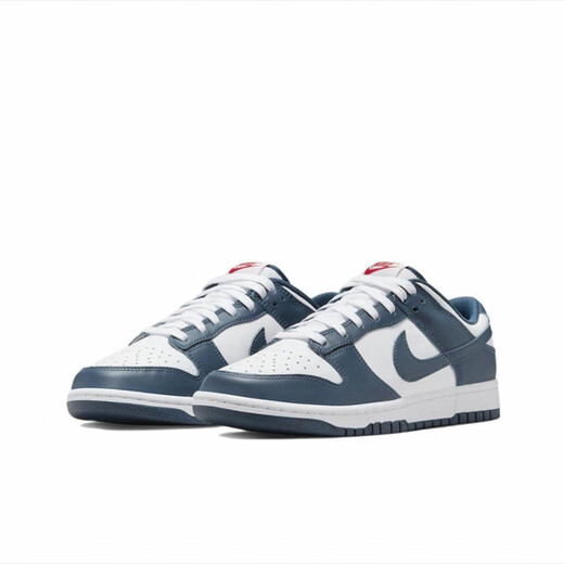 NIKE耐克Dunk LOW白蓝男款舒适时尚透气轻便防滑耐磨低帮休闲板鞋 DD1391-400白蓝 45 (290mm)