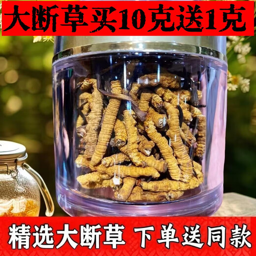 正宗藏曲冬虫夏草虫草断草10克送1克自用家庭装超级断草干货自食 藏区纯肉节大断草20克送2克