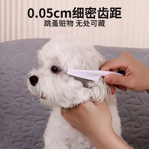 QiOh dog comb, cat comb, special cat grooming comb, Teddy Bichon face comb, cleaning tool, flea comb, complete supplies, upgraded large size + massage comb, fluffy hair