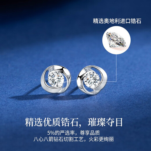 Baileys Weekly Earrings and Earrings Set 925 Silver Needle Christmas Birthday Gift Earrings Drop for Girlfriend and Wife Missing Earrings Fast Arrival