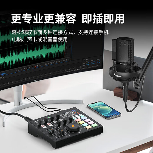 Flash PM500S condenser microphone live broadcast sound card professional large diaphragm microphone radio equipment dubbing karaoke XLR wired microphone Bobo Mai recording microphone Flash PM500S PM500S (cantilever model)