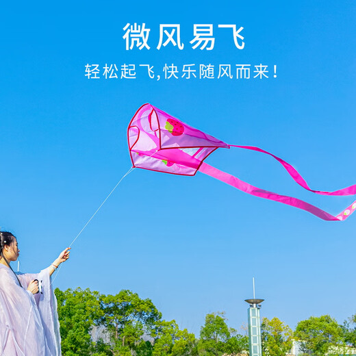 Kaiya Internet Celebrity Same portable de poche sans squelette Kite 2025 New Children's Cartoon Breeze Easy-Fee Outdoor Toys