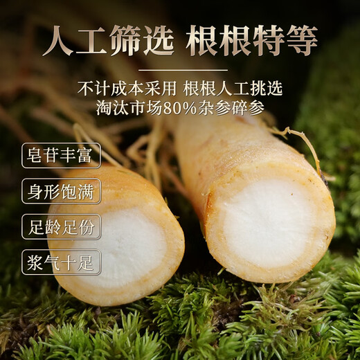 Changbaishan ginseng fresh ginseng rich in ginseng saponin soup soaked wine in ingredients bag wine soaked fresh ginseng elders [try fresh] 2 fresh ginseng