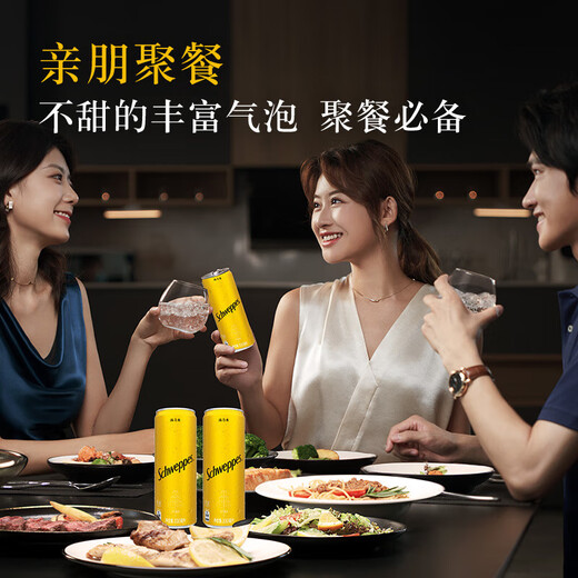 必富达粉红金酒700ml& 怡泉汤力水330ml*24 金汤福满调酒套装