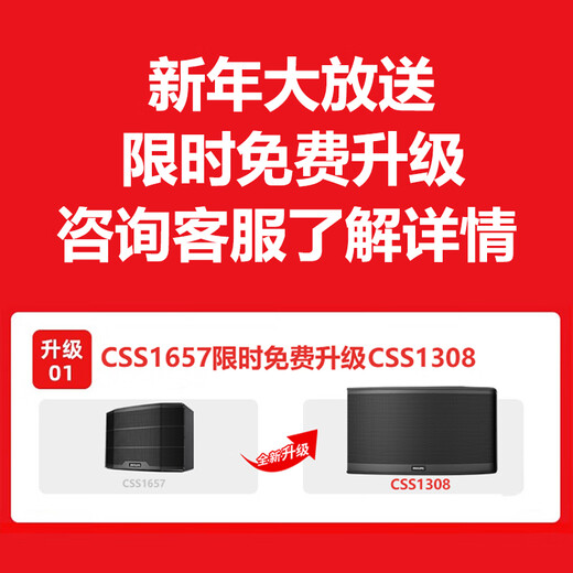 飞利浦（PHILIPS）【2万单无差评】10英寸家庭ktv音响套装专业大功率唱歌全套设备家庭影院点歌机卡拉ok功放音箱1677 【店长力荐】专业前后级套装+低音炮