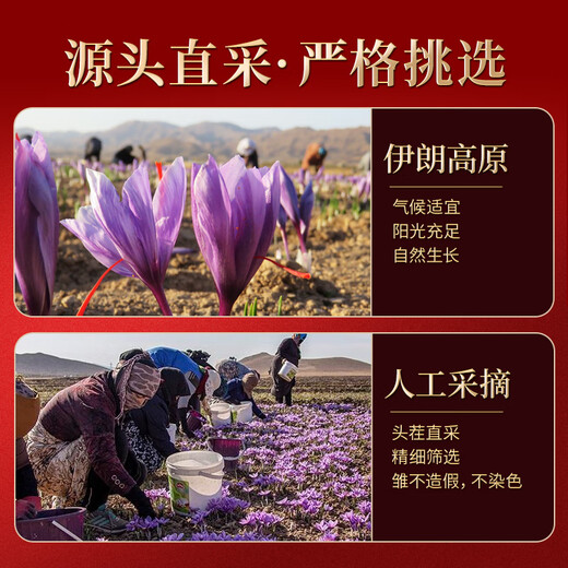 冬海红藏红花礼盒16克 送老师礼物送妈妈礼物优级西红花番红花茶礼品
