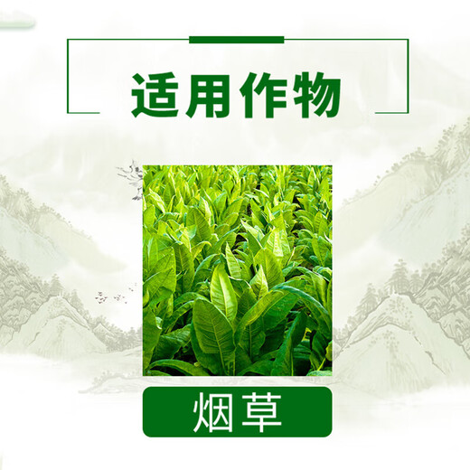 Guoguang Dynamics S-attractin citrus fruit tree disease resistance, drought and cold resistance, salt tolerance, root promotion and seedling growth regulator 200ml