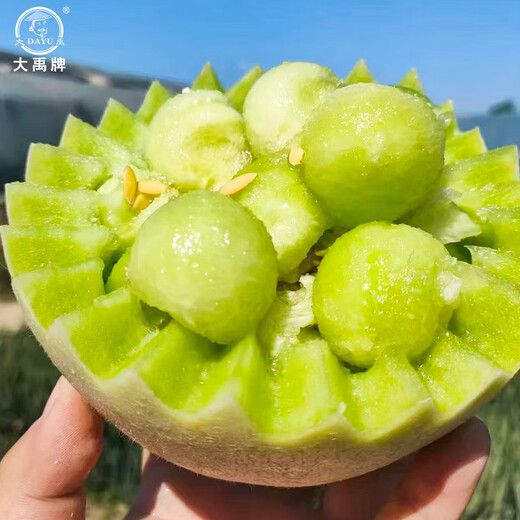 Dayu Jade Mushroom Melon Seeds White Skin Ice Cream Honey Sweet Melon Seeds Super Sweet Early Mature Xin Yugu F1 Melon Seeds 10 capsules