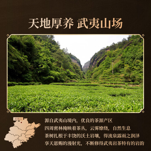 Yanyu Oolong Tea, Wenshui Wuyi Rock Tea, Cinnamon Level 1 204g Tea Gift Box, Father's Day Gift, Zhengshantang