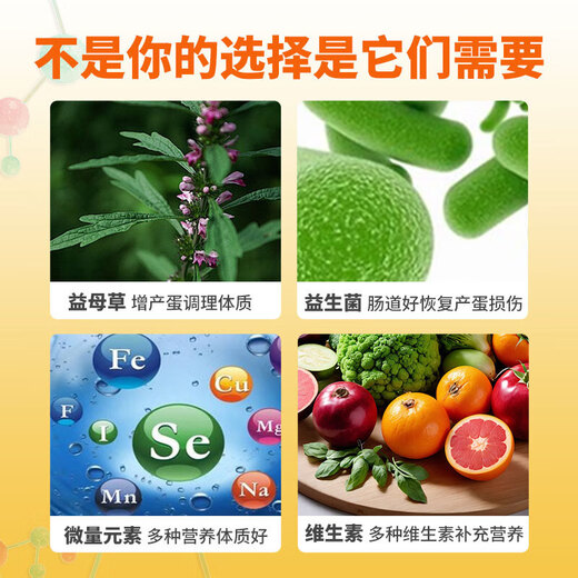 Egg Duoduo for Little Pets, Egg-Producing Egg-laying Spirit, Turtle, Parrot Nutrition, Electrolytes, Multivitamins for Chicken, Duoduo Eggs for Little Pets, 1 can/100g (spoon included)