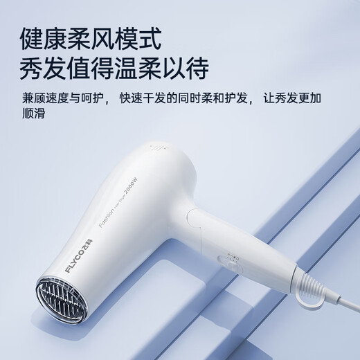 飞科（FLYCO）电吹风机宿舍用柔风恒温护发家用冷热大风量快速干发吹风筒 FH6232
