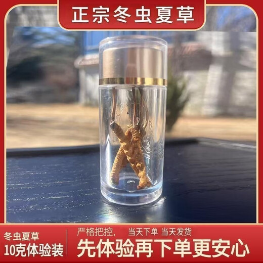 
Authentic Cordyceps sinensis first period selected nourishing dry goods two gram one gram gift box gift nutritious Cordyceps tonic products two gram one gram 50 gram authentic Cordyceps sinensis