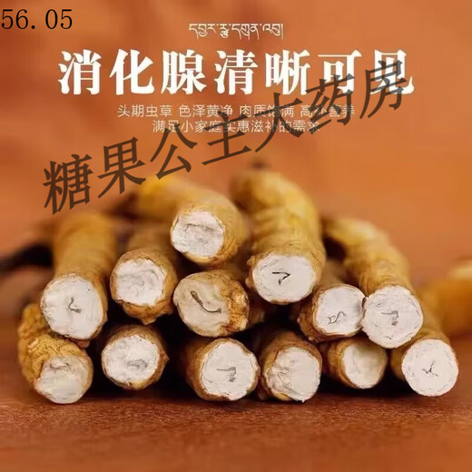 【药房直售】冬虫夏草干货大肉段干草冬虫夏草滋补泡酒 冬虫夏 冬虫夏草(10克)纯肉段