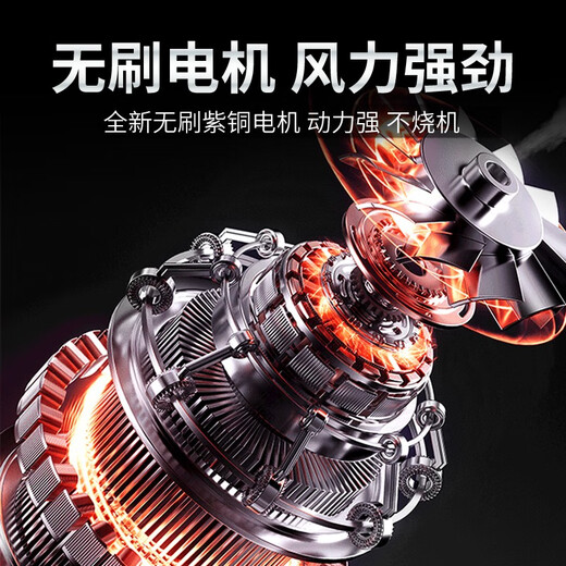 CIAA Germany lithium-ion blower high-power dust blower rechargeable industrial hair dryer dust removal small blowing and suction all-in-one machine industrial grade one 10-cell 5000H battery