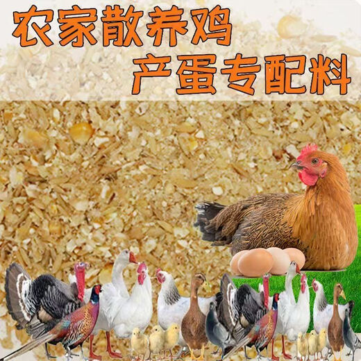 Factory direct sales 80 Jin Jin equal to 0.5 kg layer hen feed for hens, egg laying broiler fattening pellets, full price nesting breeding special 80 Jin Jin equal to 0.5 kg layer hen feed