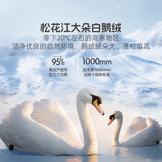 水星儿童被子鹅绒被羽绒被95%白鹅绒冬季加厚冬被芯约880g填充150*210cm