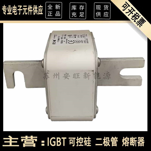CNOBLE170M6169 170M6170 170M6171全新伊顿巴斯曼Bussmann熔断器现货 更多型号请咨询客服