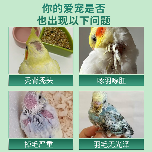 Pet Feather Pecking Bird Insect Cleaner Parrot Feather Cleaner Rutin Chicken Feather Pecking Bald Back Bird Feathers Special Pet Feather Pecking Cleaner 10 cans/100g (free spoon)